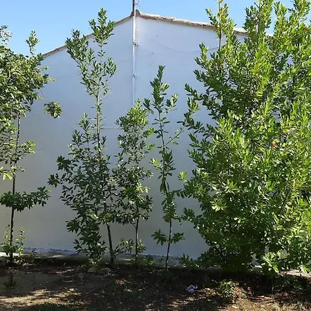 Casa Junto Al Parque Natural De Bardenas Sádaba