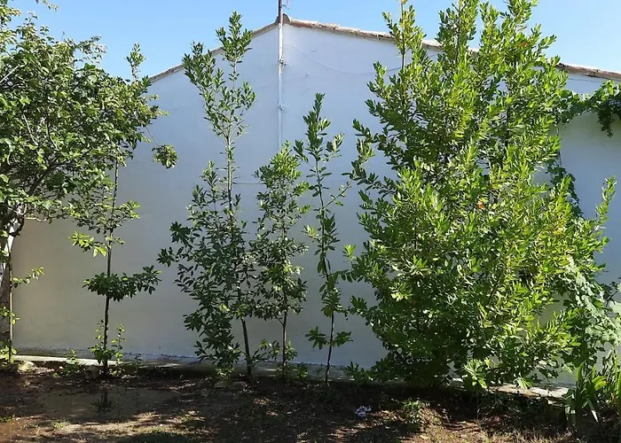 Casa Junto Al Parque Natural De Bardenas Sádaba